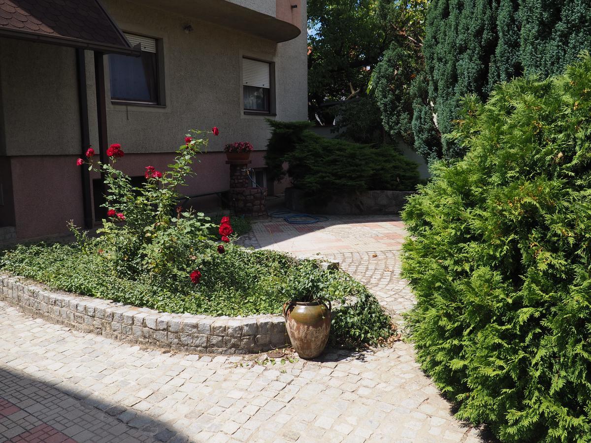 Guest House Stefanovic Вране Экстерьер фото